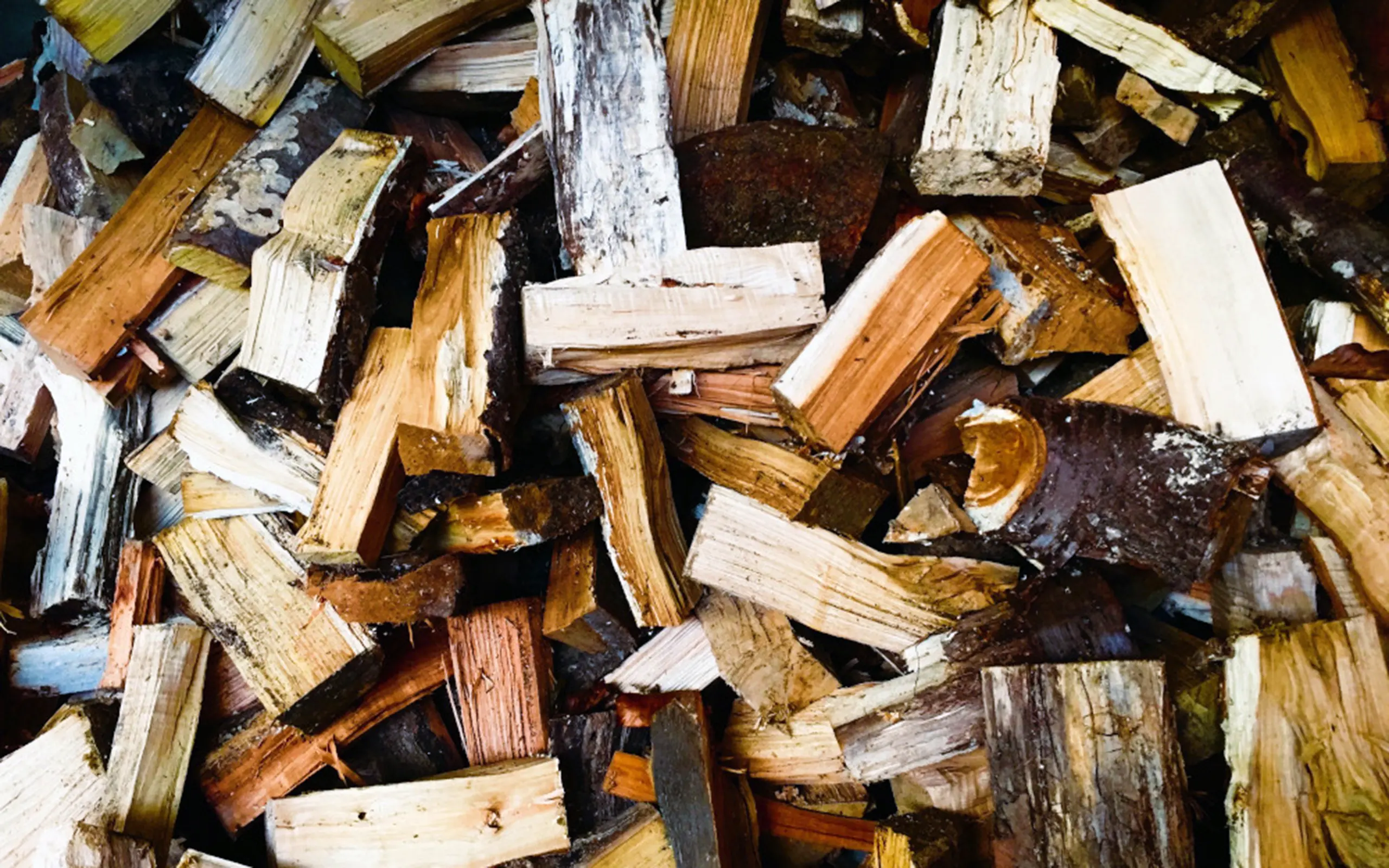 Firewood Kindling