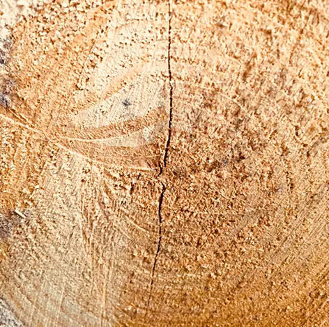 Firewood