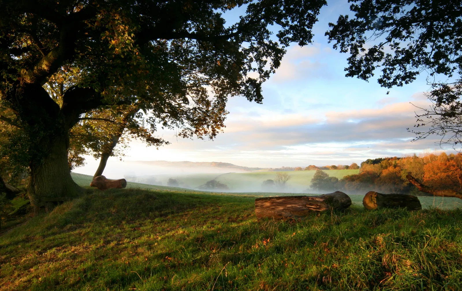 Natural Burial Usk Meadow