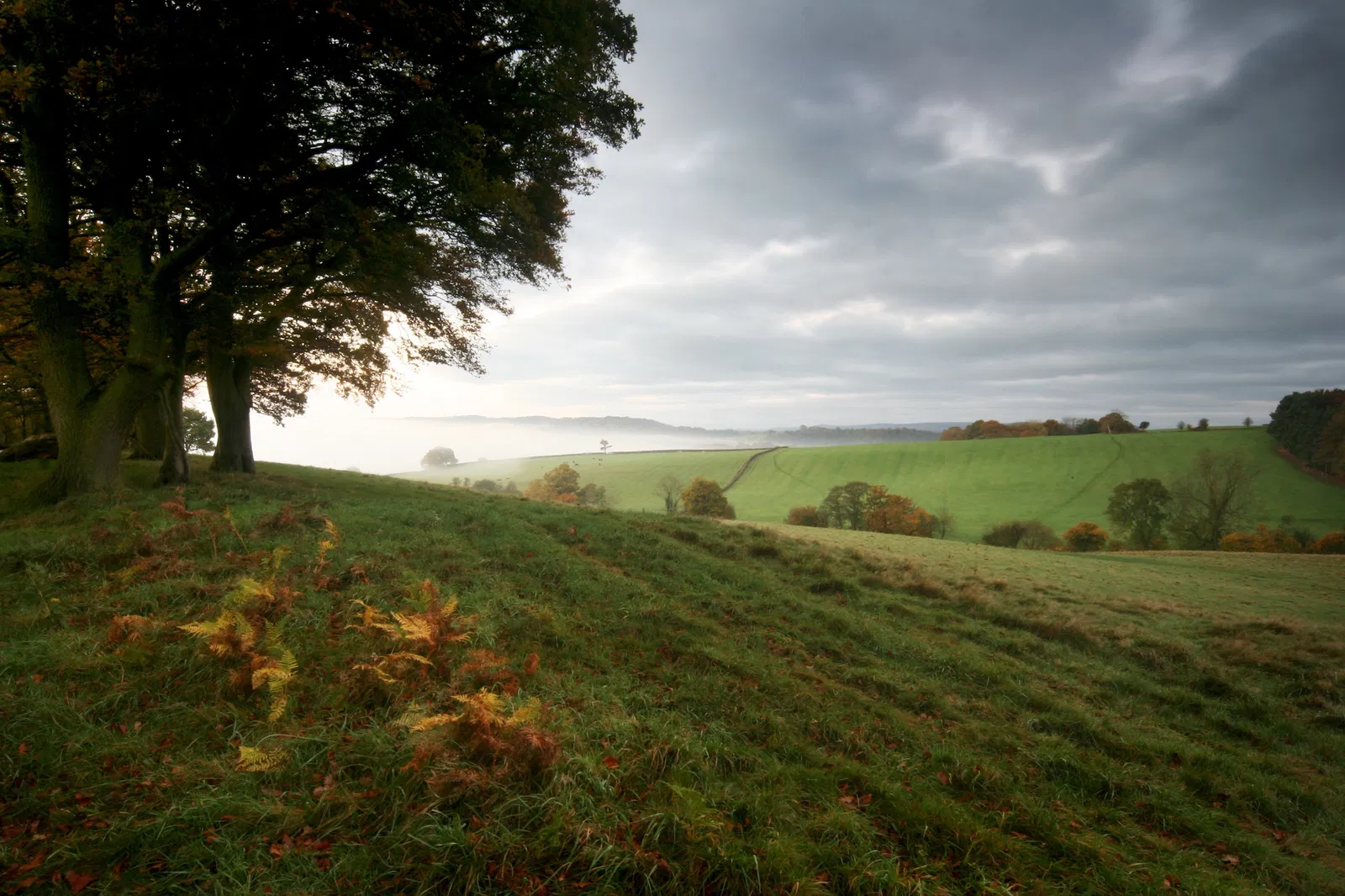 Natural Burial Usk Meadow