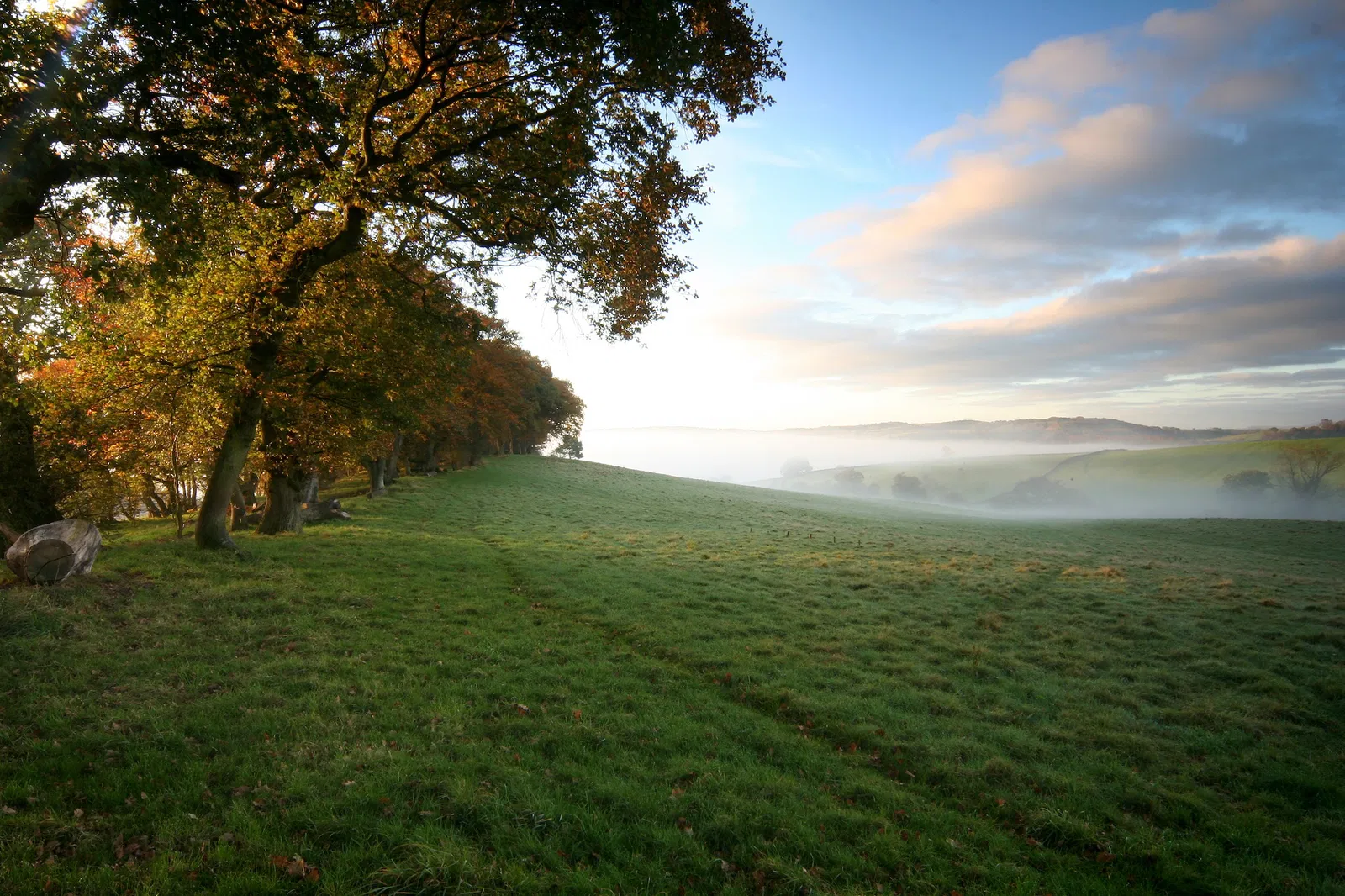 Natural Burial Usk Meadow