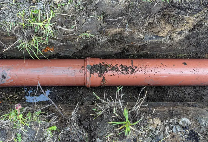 drainage specialists